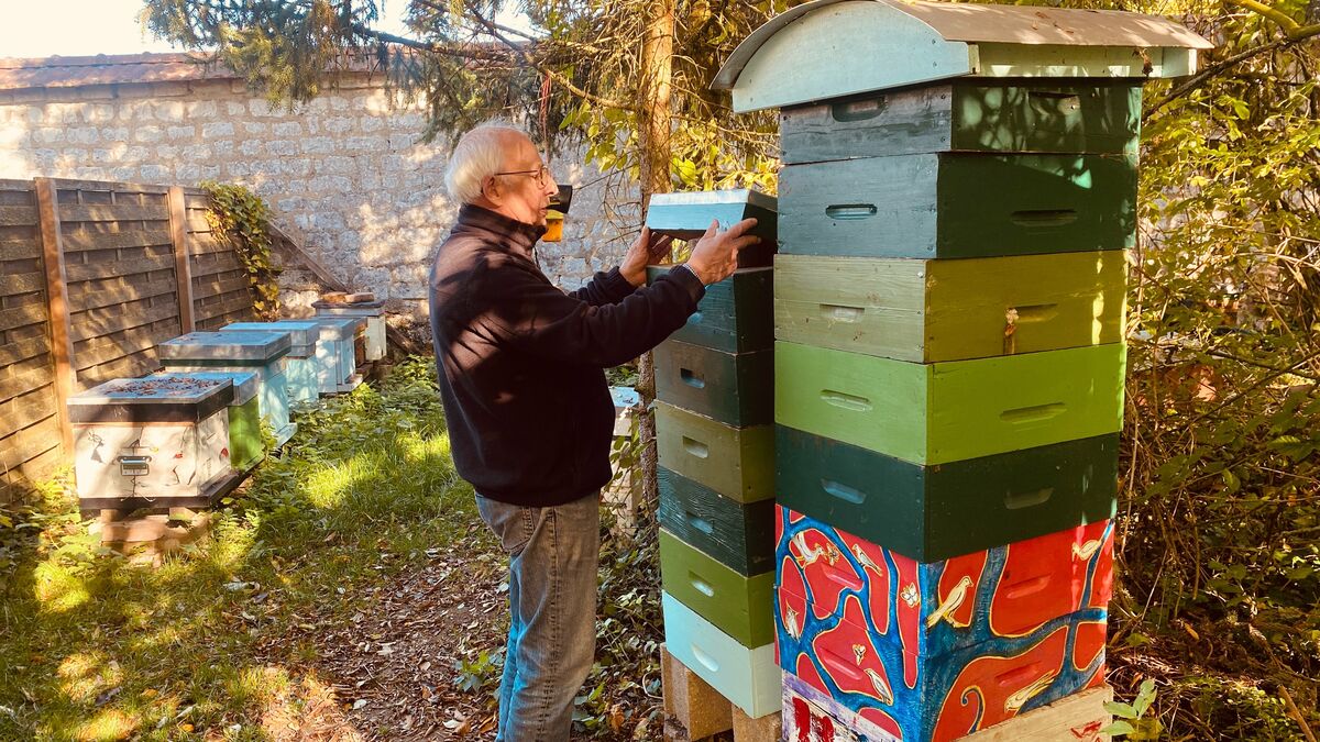 «On est sur une perte de 70 %» : dans la Marne, les apiculteurs face à une récolte de miel dramatique | MondialNews