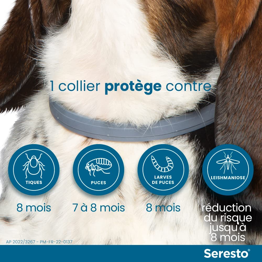 Protection intégrale pour grands chiens : SERESTO, le collier anti-puces et anti-tiques d’Elanco – Les Meilleurs !